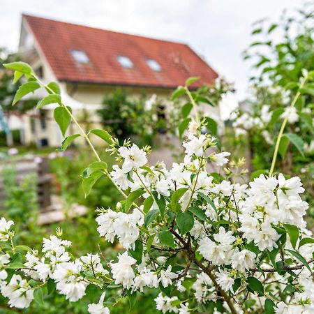 Beutenmuehle Straussenfarm Dach Owingen エクステリア 写真