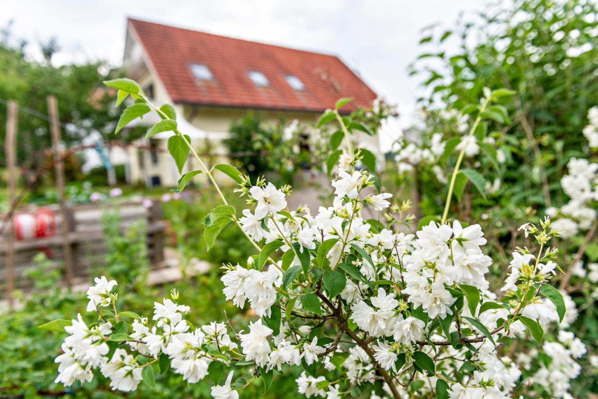 Beutenmuehle Straussenfarm Dach Owingen エクステリア 写真