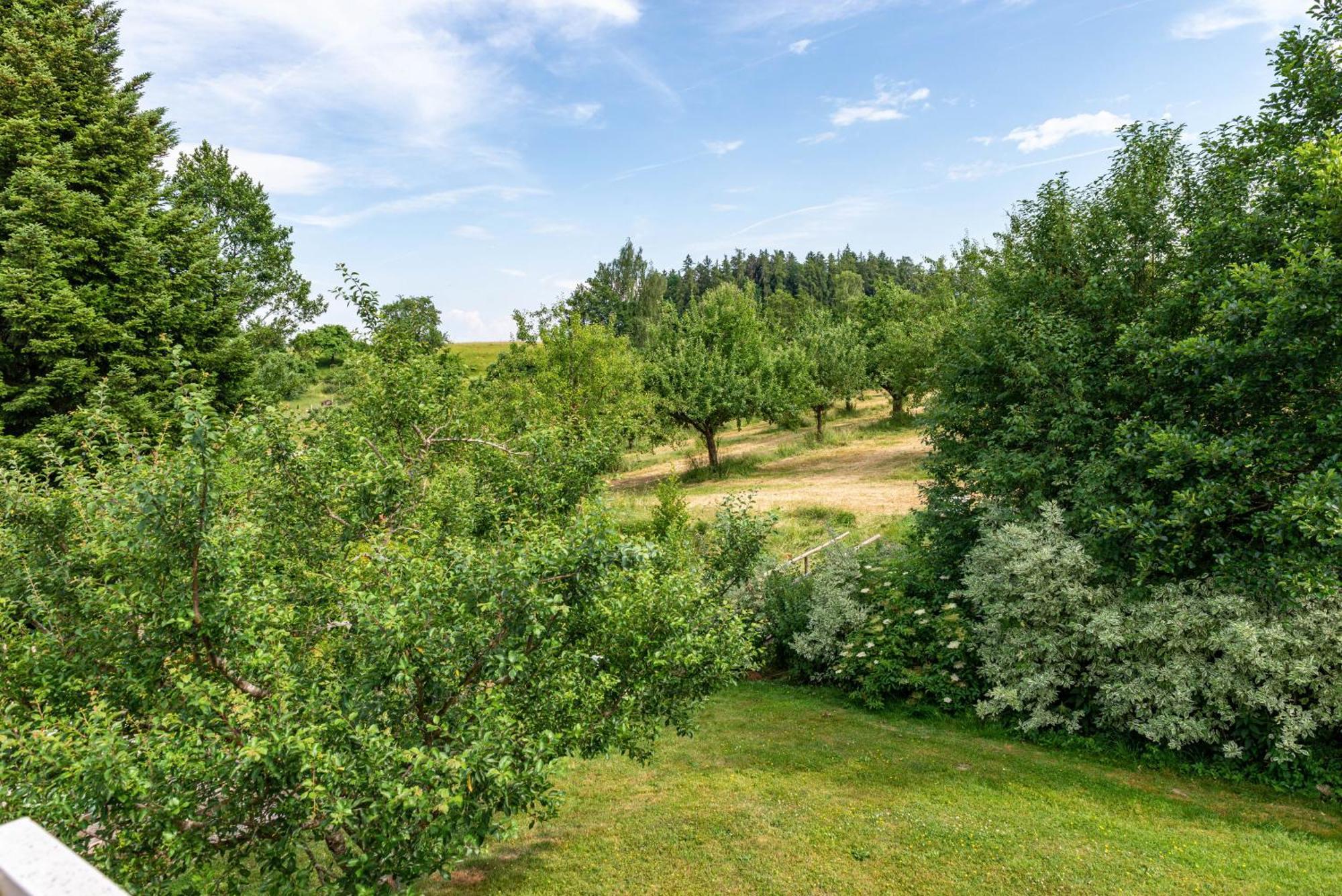 Beutenmuehle Straussenfarm Dach Owingen エクステリア 写真